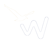 Ewolution