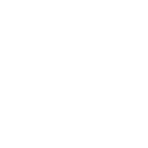 Phoenix 300x300