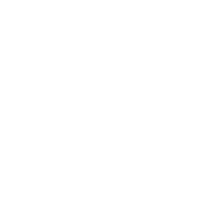 Somartic Arts Academy 300x300