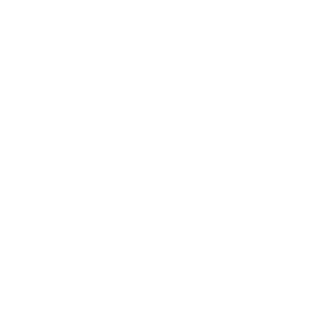 Wild Bloom Academy 300x300